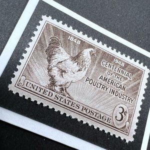 Poultry Framed Postage Stamp Art 4x4 USA #968